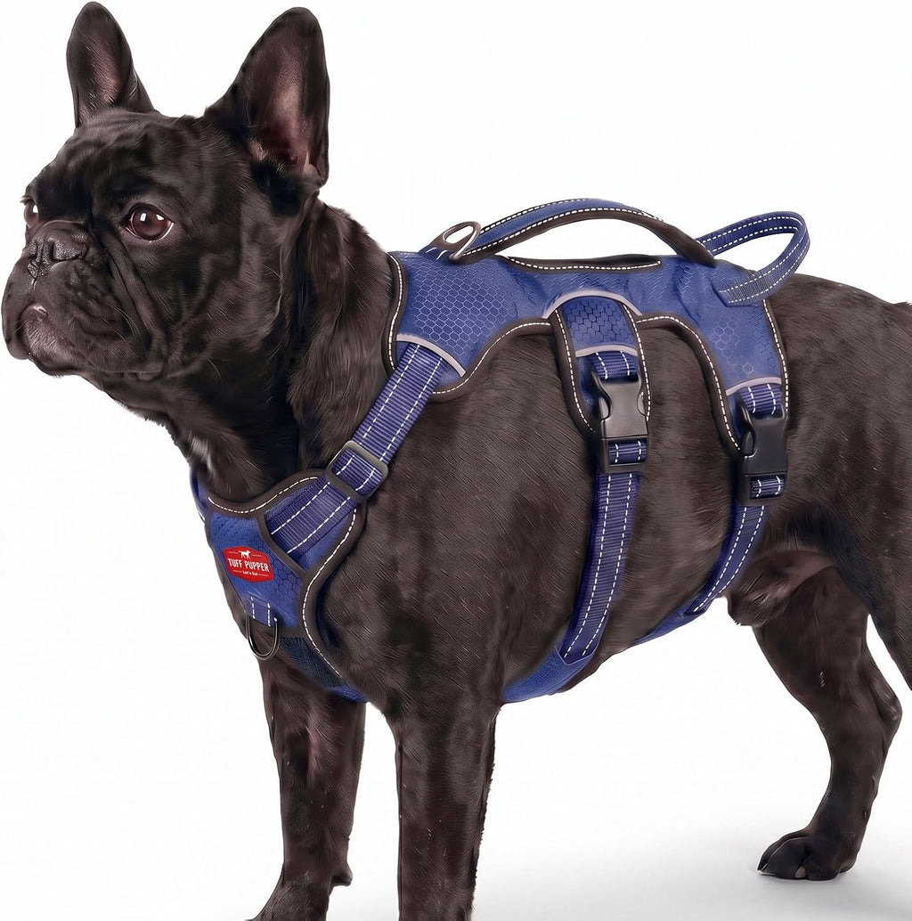Escape Proof No Escape Dog Harness | 5 Point Adjustable Fit Harness for Dogs | Padded Dog Harnesses | Handle Dog Lift Harnesses