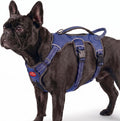 Escape Proof No Escape Dog Harness | 5 Point Adjustable Fit Harness for Dogs | Padded Dog Harnesses | Handle Dog Lift Harnesses