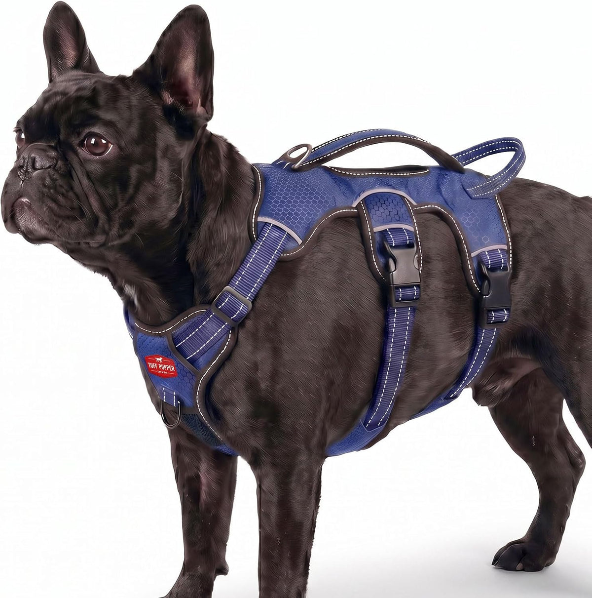 Escape Proof No Escape Dog Harness | 5 Point Adjustable Fit Harness for Dogs | Padded Dog Harnesses | Handle Dog Lift Harnesses