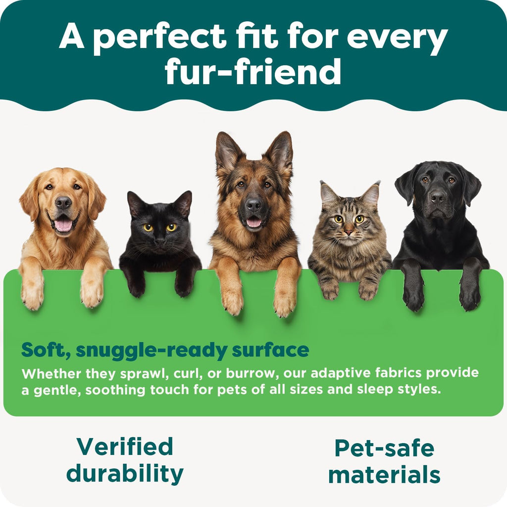 Orthopedic Dog Bed for Large Dogs W/ Removable Bolsters & Washable Cover, for Dogs up to 95 Lbs - Plush & Velvet Waves Perfect Comfort Sofa - Brownstone, Jumbo/Xl