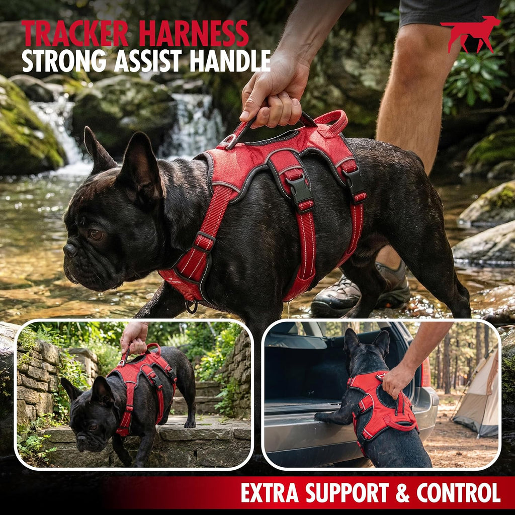 Escape Proof No Escape Dog Harness | 5 Point Adjustable Fit Harness for Dogs | Padded Dog Harnesses | Handle Dog Lift Harnesses