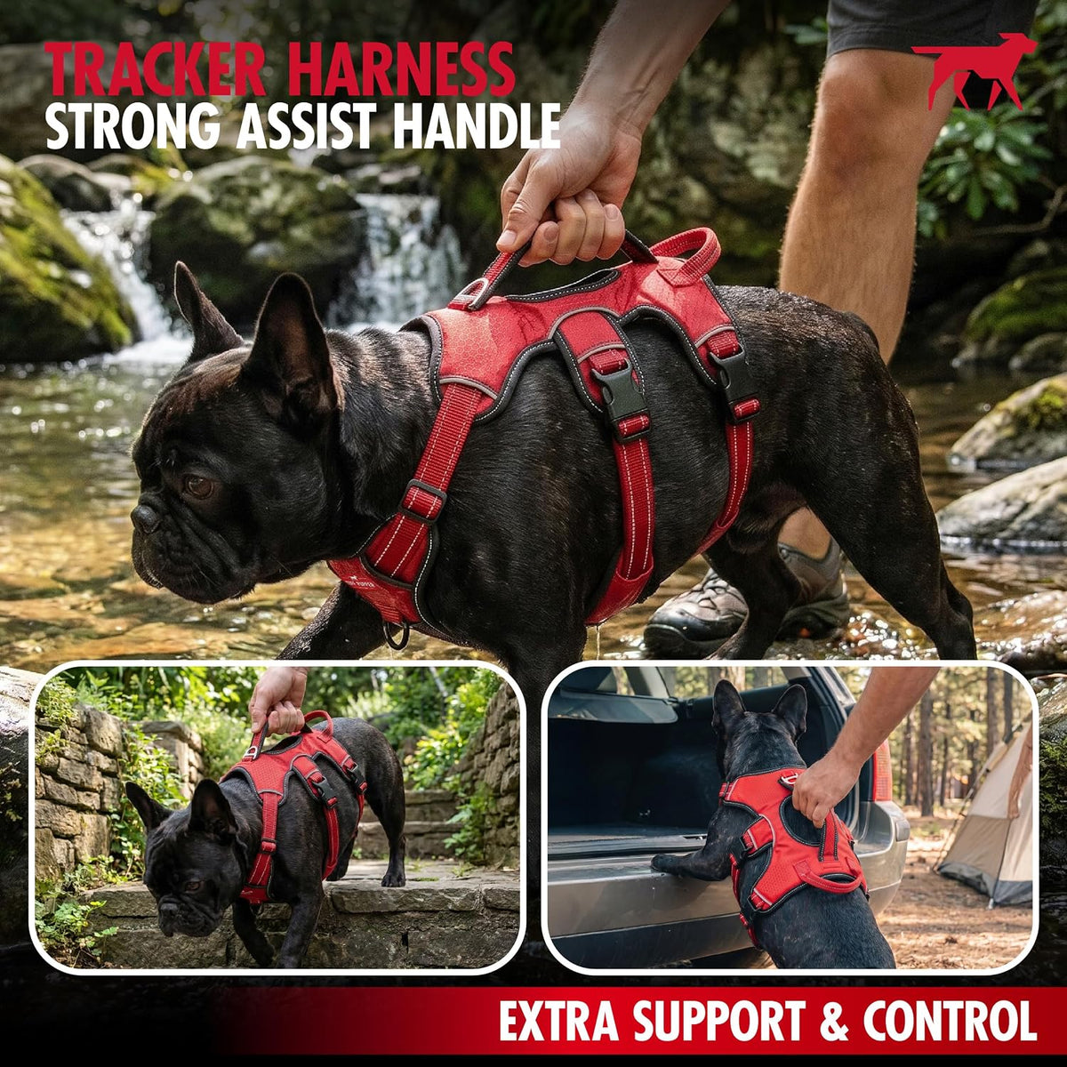 Escape Proof No Escape Dog Harness | 5 Point Adjustable Fit Harness for Dogs | Padded Dog Harnesses | Handle Dog Lift Harnesses