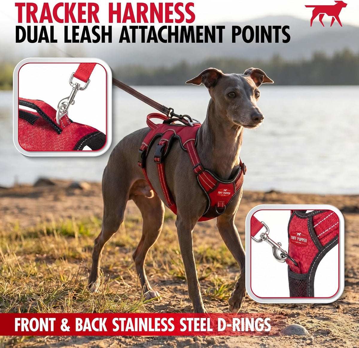 Escape Proof No Escape Dog Harness | 5 Point Adjustable Fit Harness for Dogs | Padded Dog Harnesses | Handle Dog Lift Harnesses