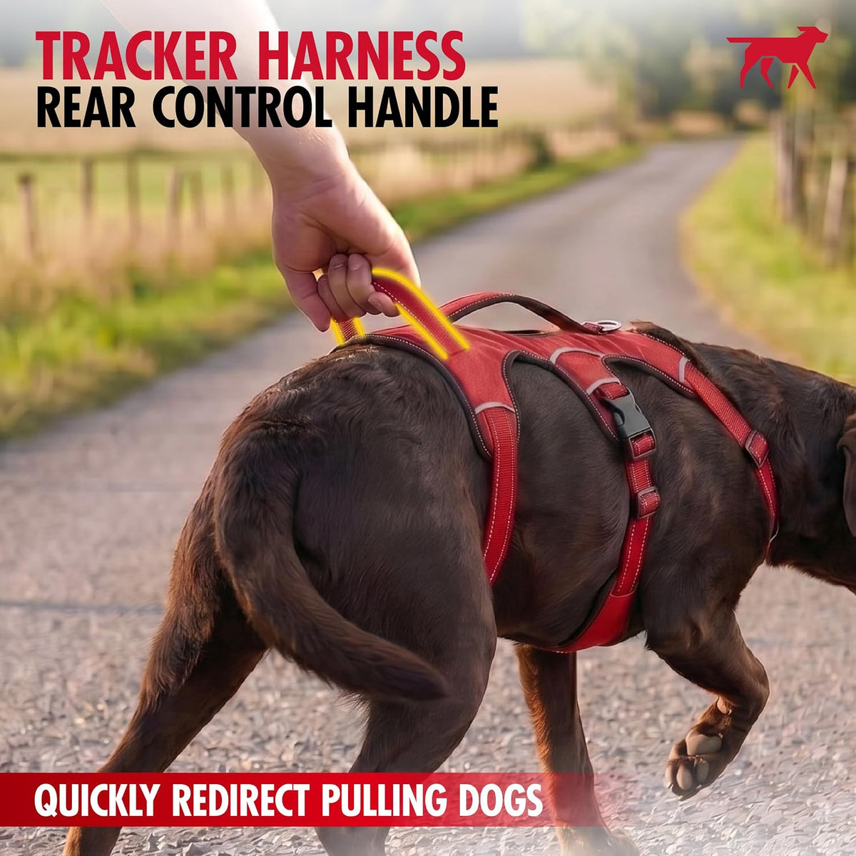 Escape Proof No Escape Dog Harness | 5 Point Adjustable Fit Harness for Dogs | Padded Dog Harnesses | Handle Dog Lift Harnesses