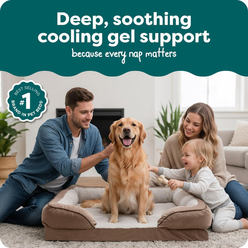 Orthopedic Dog Bed for Large Dogs W/ Removable Bolsters & Washable Cover, for Dogs up to 95 Lbs - Plush & Velvet Waves Perfect Comfort Sofa - Brownstone, Jumbo/Xl