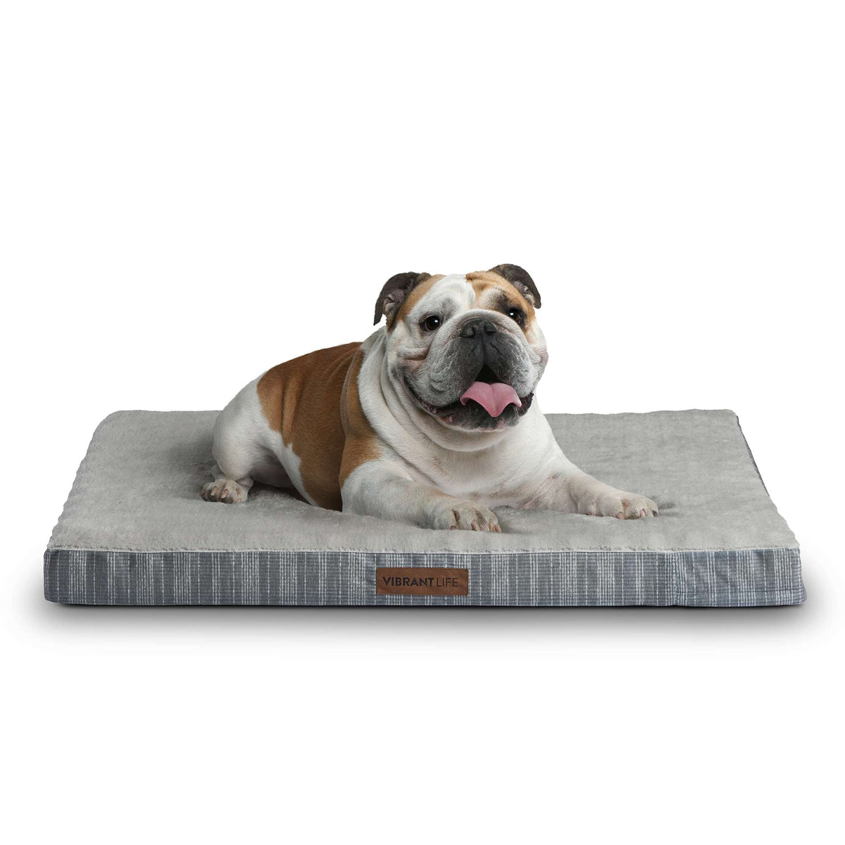 Vibrant Life Large Orthopedic Foam Dog Bed for Senior & Large Breeds - Grey