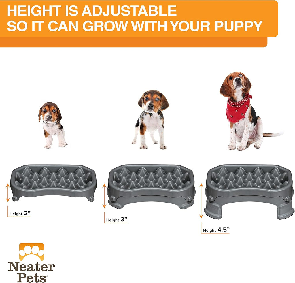 – Neater Raised Slow Feeder Dog Bowl – Elevated and Adjustable Food Height - (2.5 Cup, Gunmetal)