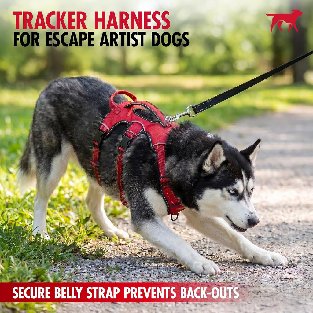 Escape Proof No Escape Dog Harness | 5 Point Adjustable Fit Harness for Dogs | Padded Dog Harnesses | Handle Dog Lift Harnesses